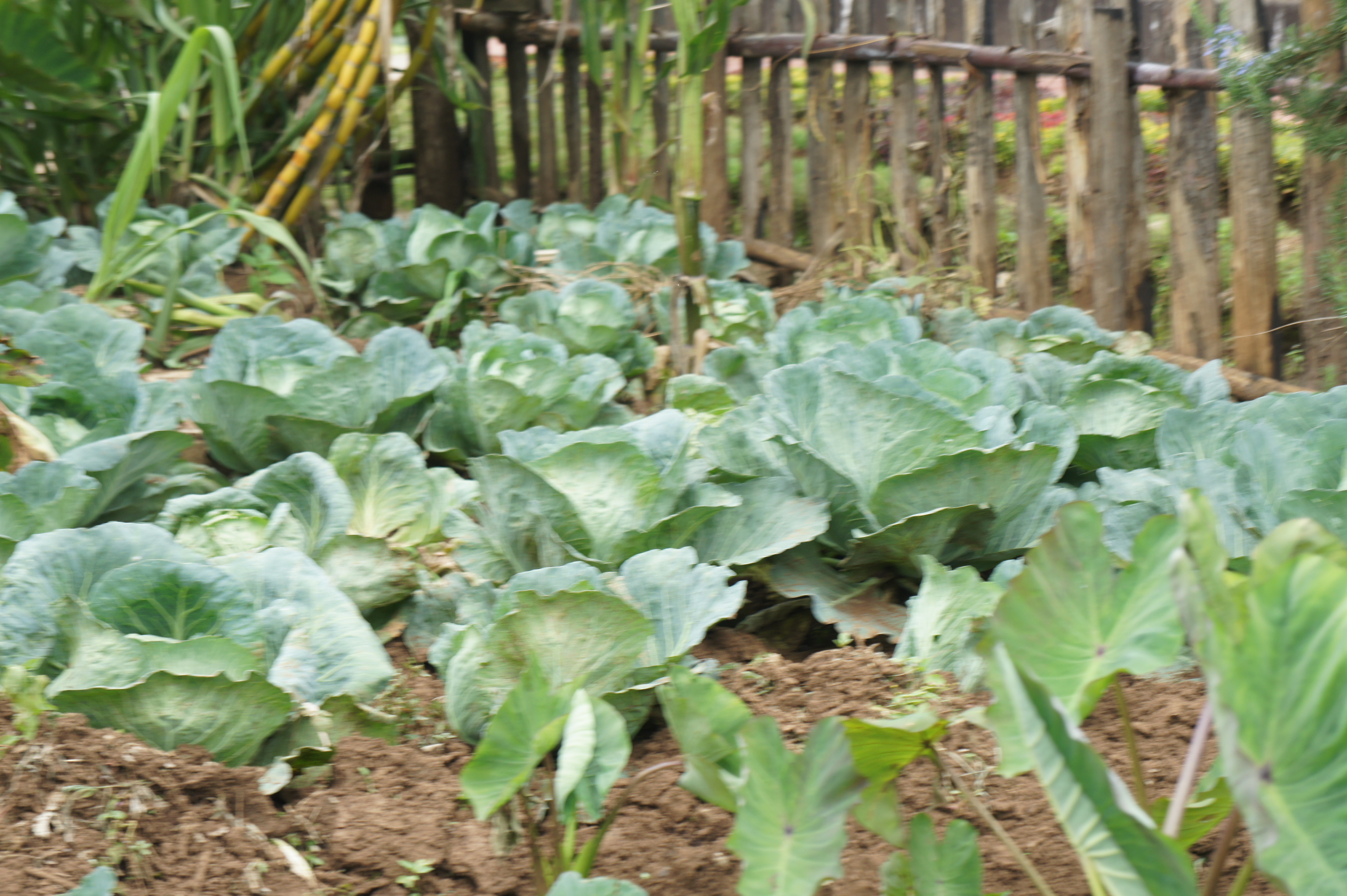 Where Does the G8 Stand On Its 2009 $22B Pledge to End Hunger?