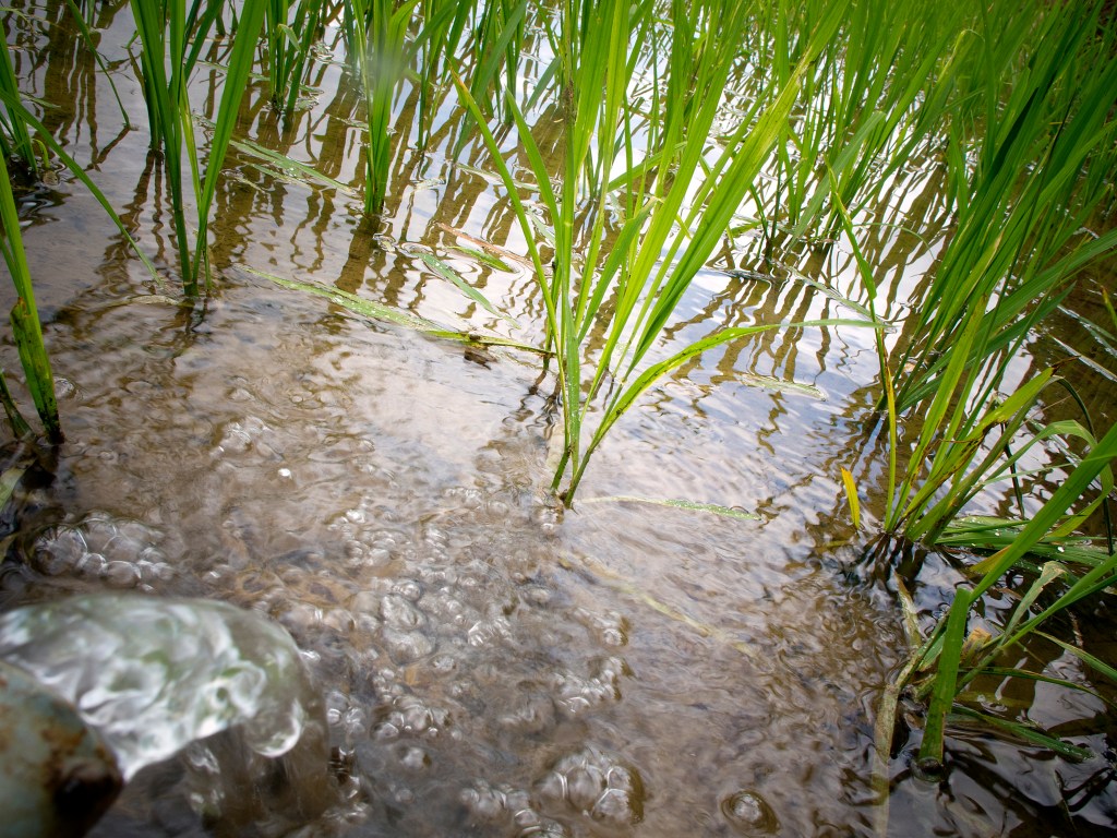 Why Access to Sanitation is Key to Health,&nbsp;Development