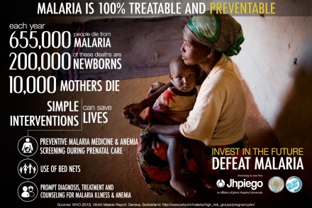 Malaria Infographic