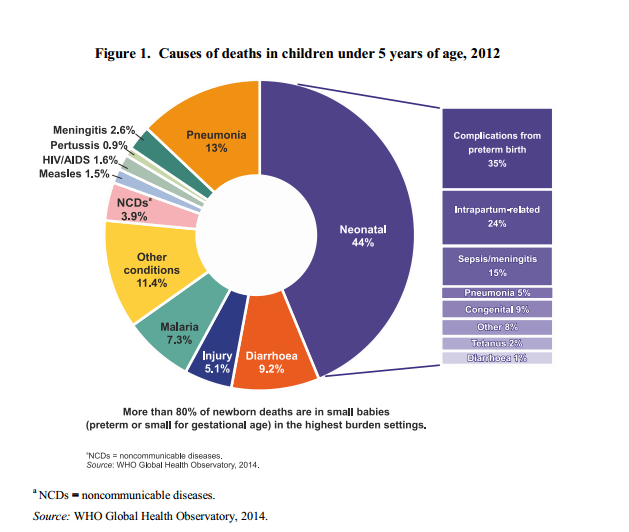 Causes for Child Mortality