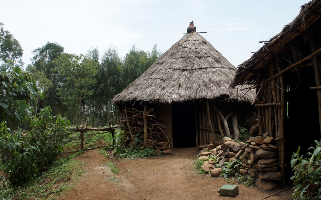 Photo From the Field: Nine-Day-Old&nbsp;Newborn