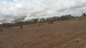 Turkana's terrain is rough and dry. There are no existent roads in the area.