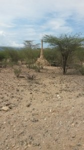 There are plenty of termite houses in Turkana. Because of sandflies, a neglected tropical disease -kala azar is common in this area.