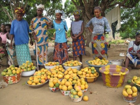 A child’s daily requirement for vitamin A can be met by around 25 g of a deep orange-fleshed mango variety. Photo: Terry Sunderland