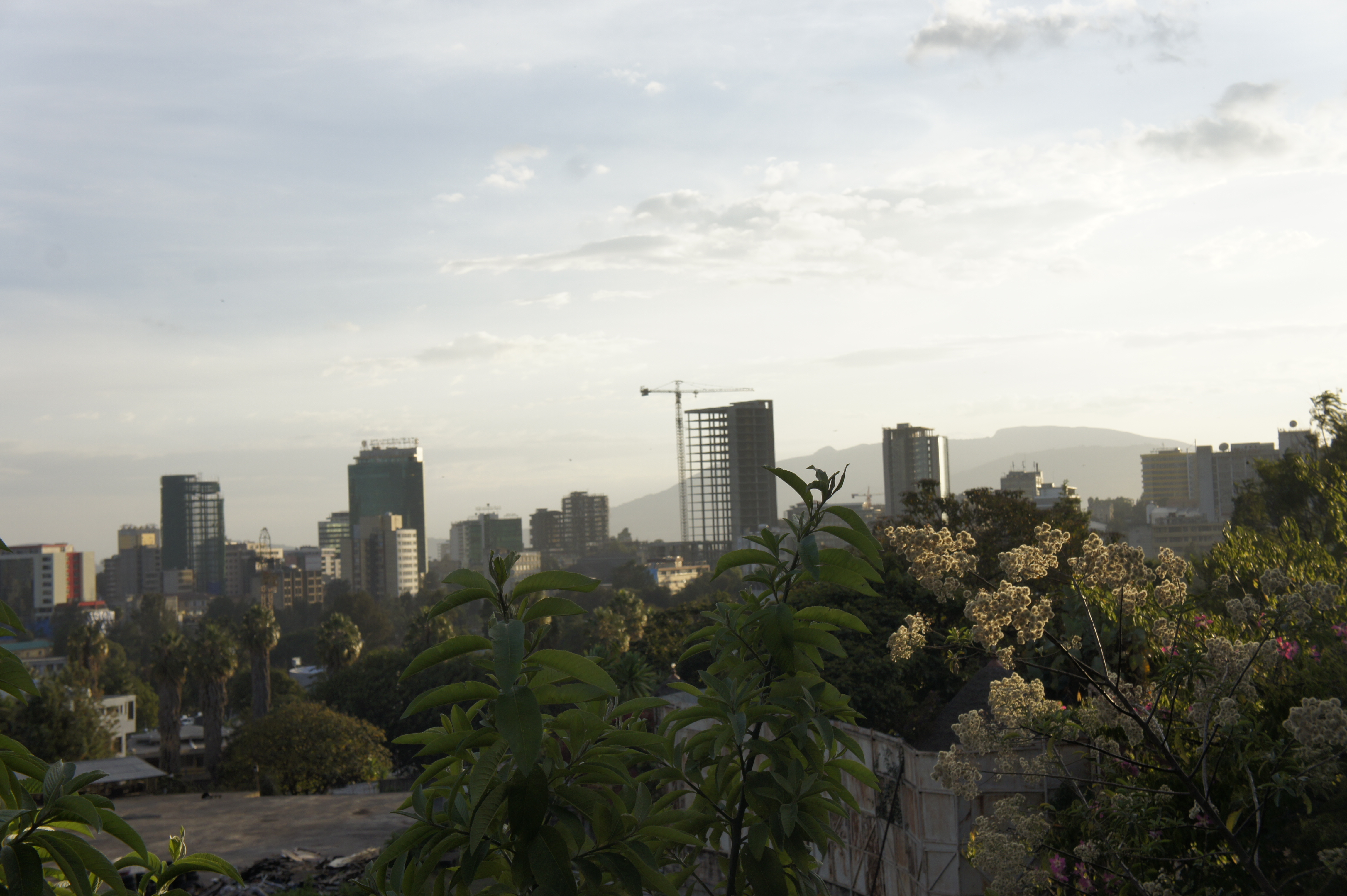Why Promoting Green Infrastructure in Africa May Be Bad for Development