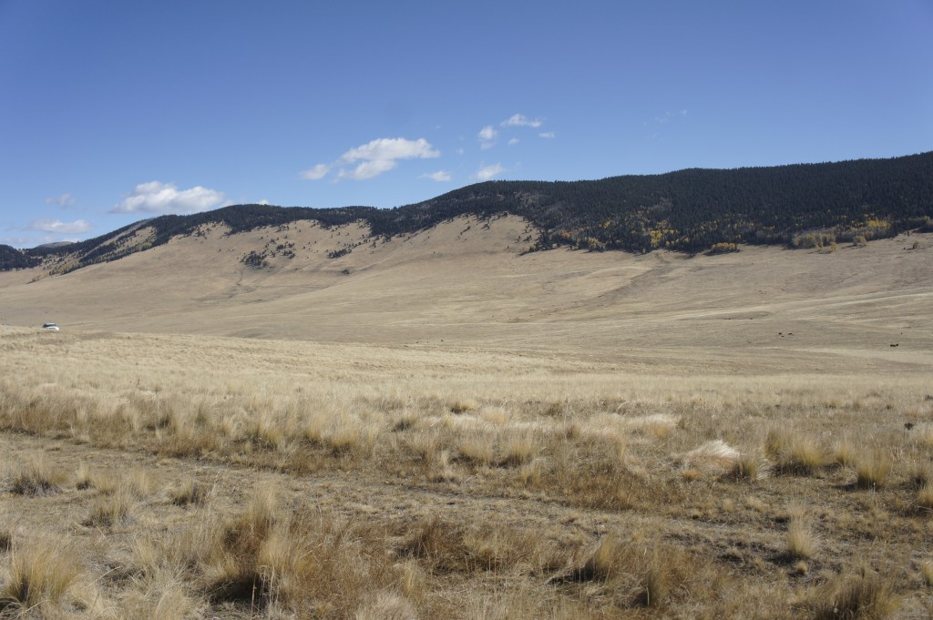 How and Why Coca-Cola is Restoring Water to Our National&nbsp;Forests