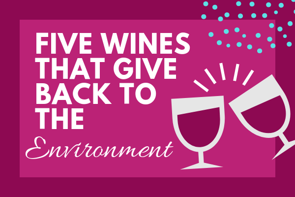 5 Wines That Give Back to the Environment&nbsp;#EarthMonth