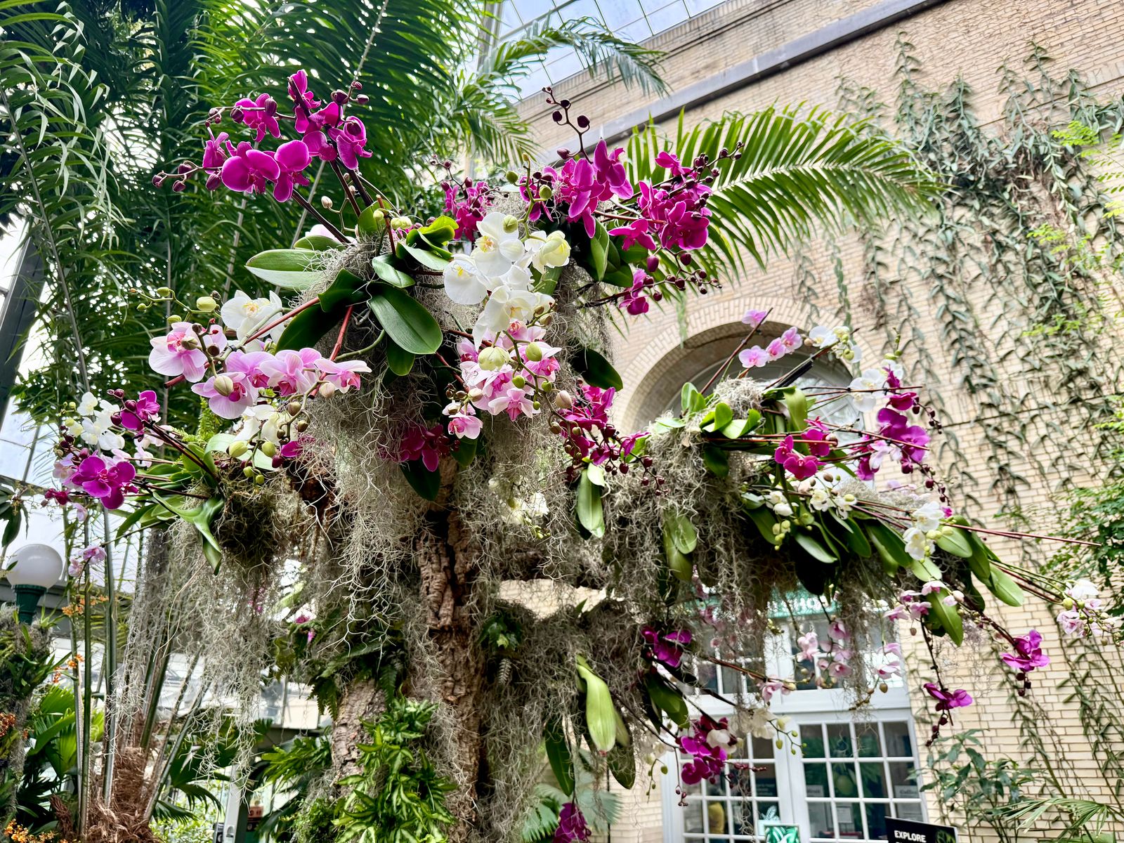 Skip the Flowers: 5 Gardens to Donate to for a Thoughtful Valentine’s Day Gift